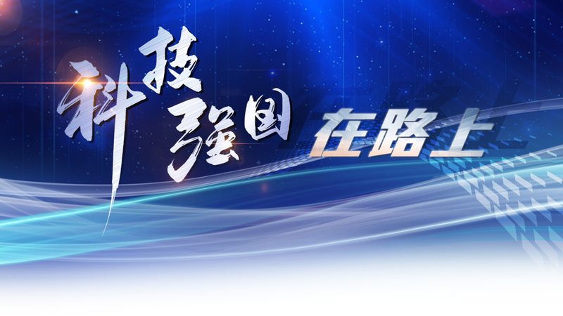 打造卓越体验：智能客服的选型与优化策略**